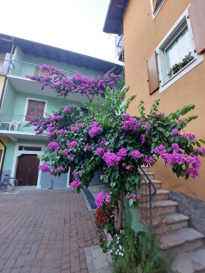 La Bougainville - Luxury Apartment Torbole Sul Garda Eksteriør bilde