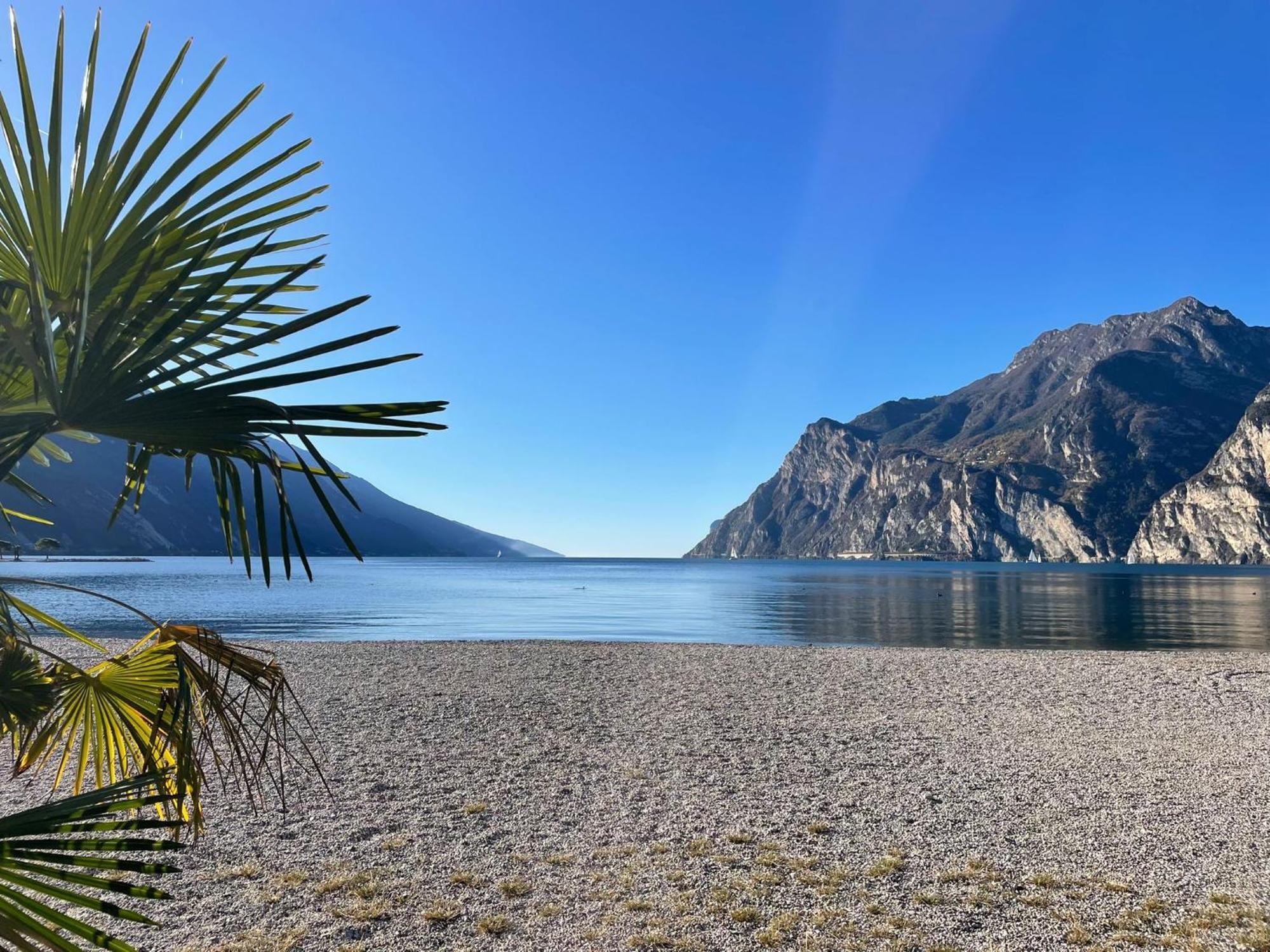 La Bougainville - Luxury Apartment Torbole Sul Garda Eksteriør bilde